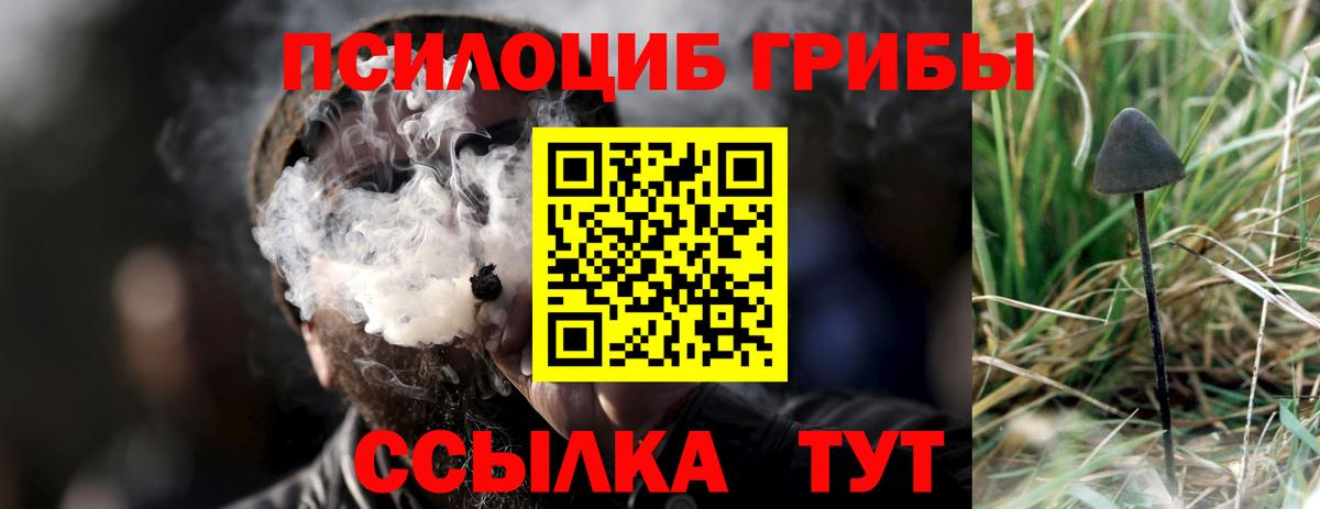 Галлюциногенные грибы Magic Shrooms  Псилоцибиновые грибы мухоморы  Сунжа  Вход с VPN 