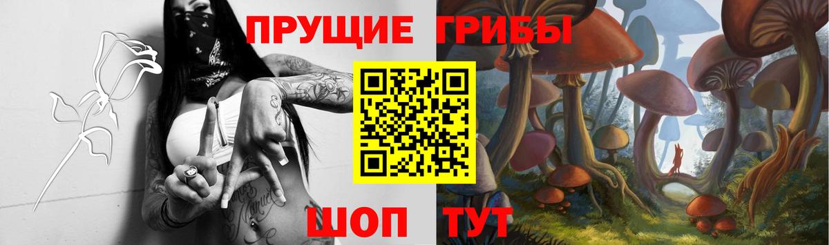 Галлюциногенные грибы Magic Shrooms Сунжа