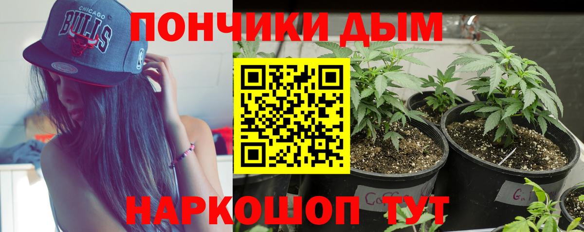 Сунжа  Конопля семена  Канабис Amnesia  Вход с VPN 